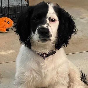 Meet your Posher, Denise